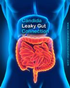 candida albicans leaky gut ccws