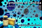 ccws symptoms of candida albicans yeast infection