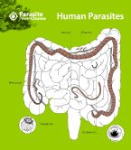 human parasites cleanse intestinal worms