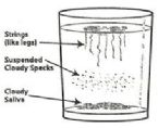 candida testing spit test scam