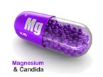 magnesium supplements candida