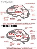 man brain