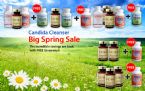 spring sale cws candida cleanser