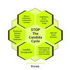 stop the candida cyle with ccws