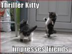 thrillerkitty