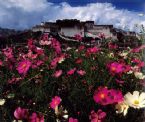 potala in summer