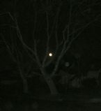 Full Moon 4 20 2008