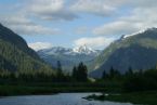 Great Bear Rainforest LATIMES1