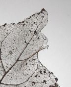 Lace Leaf Detail