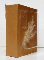 Eco Art 01 Cardboard Box Feathery 02 2019cz