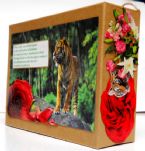 Eco Art 14 Cardboard Box TigerRose 2019 05cz