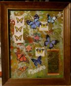 Eco Art Butterflies 4 2021cz