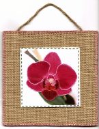 Eco Art Orchid 2015 03 sm