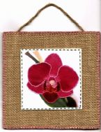 Eco Art Orchid 2015 03 sm cz