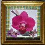 Eco Art Orchid 2015 Framed