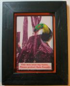 Eco Art Rain Forest Toucan