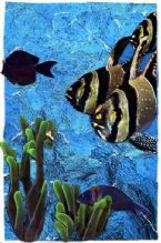 Fish postcard 02cz