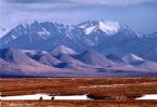 ANWR Spring