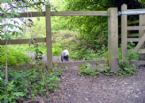 Baboo country walk gate