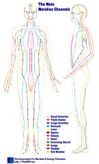 Meridian Chart Large