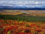 autumn Arctic Refuge