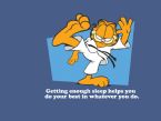 garfield sleep