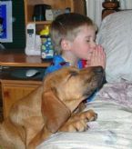 Boy dog praying ... (Click to enlarge)