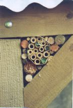 leafcutter bees