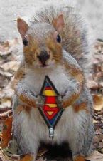 supersquirrelie