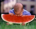 watermellon kid