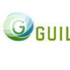 Guild IT Solutions is an IT software consulting company specializing in web designing & development, business consulting services, mobile apps development services, open source platform services, custom application services and digital solutions.