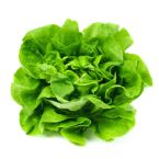 Lettuce