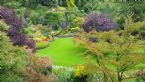 Butchart Gardens Area