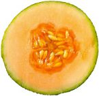 cantalope