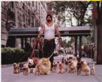 Tough guy walking dogpack