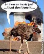 911 ostrich inside job 