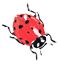 ladybug