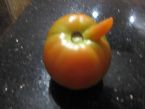 Chemtrail tomato, GMO, tomato?