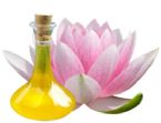 Lotus Flower Oil