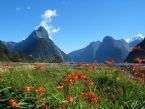 Mitre Peak Milford Sound New Zealand 8 17 08