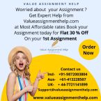 assignment help