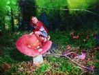 alice sits on toadstool