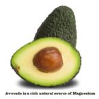 avocado for candida diet magnesium rich