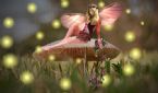 fairy