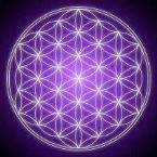 flower of life purple gold ... (Click to enlarge)