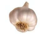 garlic1