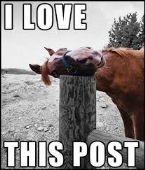 horsepost