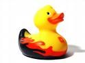 rubber ducky