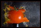 exploding tomato