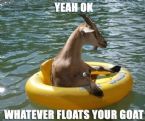 goatfloat